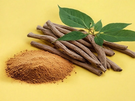 خرید آنتی اکسیدان استخراج ریشه اشواگاندا پودر با 5٪ Withanolide Cas 90147-43-6 تولید آنلاین